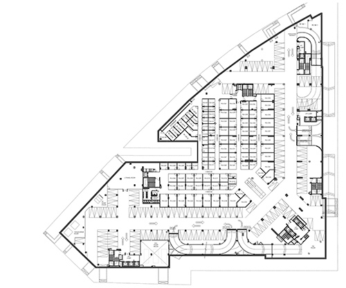 Lower Ground Floor